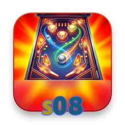 s08